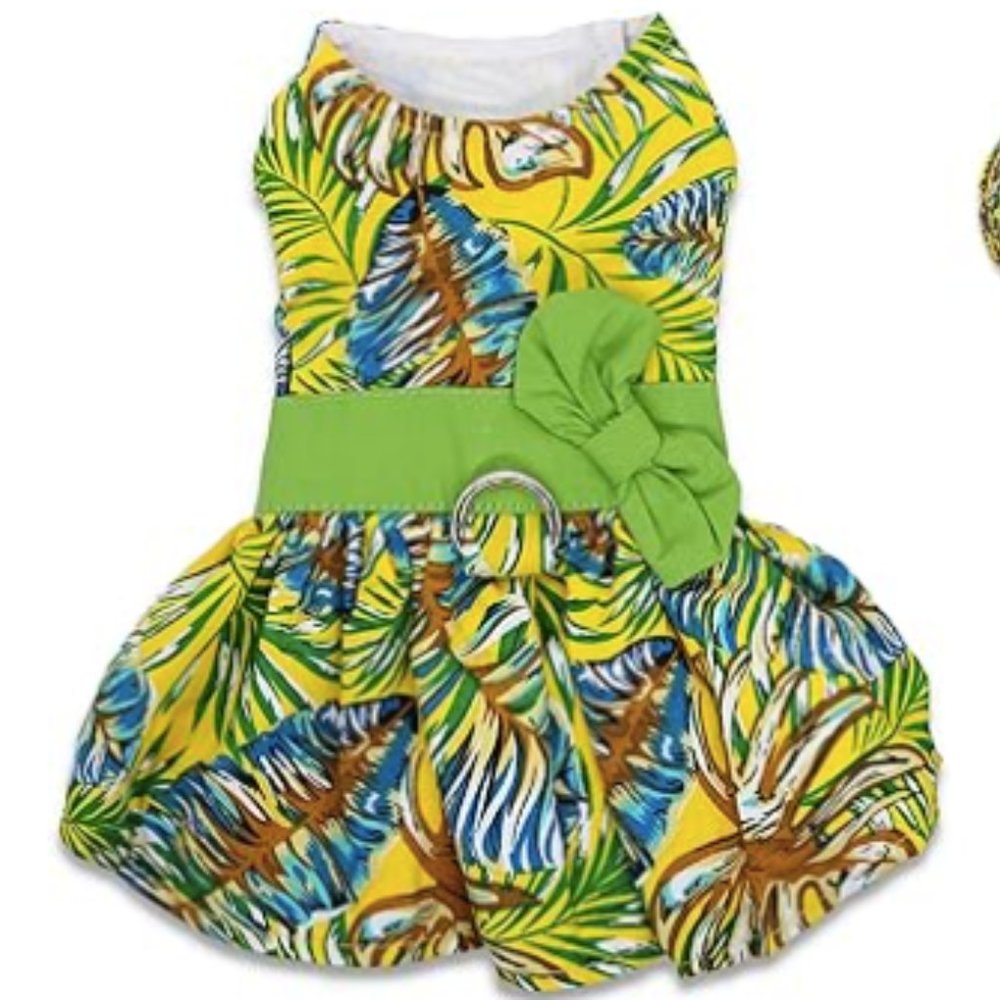 Dog Dress for Small Dogs with Matching Leash